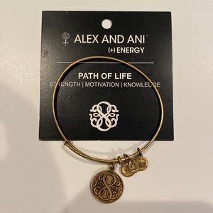 Alex and Ani Path of Life Bracelet